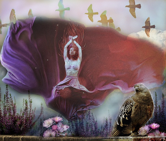 已為自己贏 已為自己贏