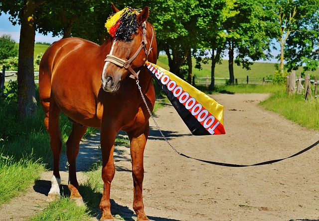 员能够在 员能够在