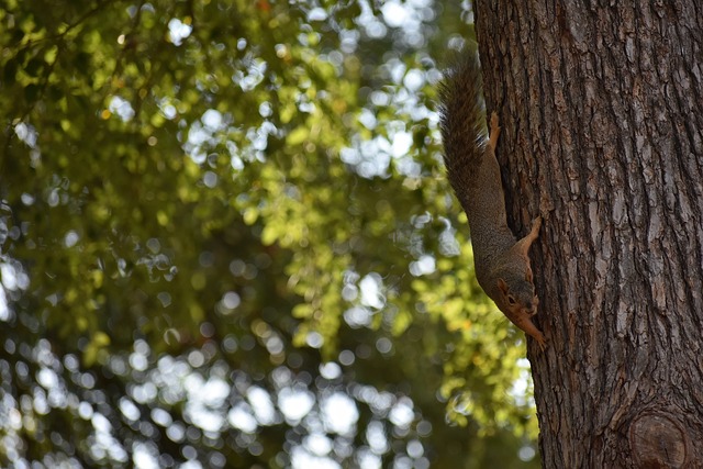 入创新元素 入创新元素